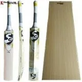 SG Sunny Gold English Willow Cricket Bat Standard Size Free oili