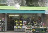 The best Florist in Reading