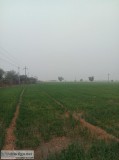 100 acres on NH-8 close to Delhi