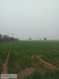 100 acres on NH-8 close to Delhi