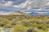 Almost 4.5 Acres of Scottsdale Land to Build Your DREAM HOME