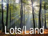 Land in Lake Anna Area
