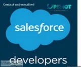 Find Salesforce Developer Training in Marathahalli Bangalore Ups