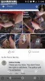 Looking for buyer of my mice