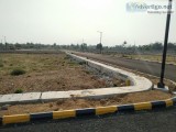 On road plots  OMR
