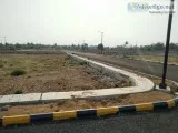 On road plots  OMR