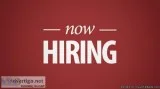 Sales Agent-Customer Service