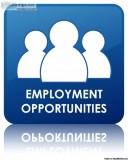 Looking for people to work