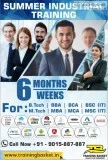 Summer Training Institute In NoidaDelhi-Training Basket