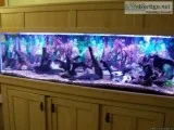 AQUARIUM 120 gallon with canopystand pumps lights filters decora