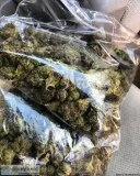 Cookies Mix Snap and Pull (closed loop BHO) Available