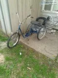 Three wheel bike