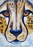 Sacramento Studio 726 NEW PAINTING  Cheetah Portrait  TGIF SPECI