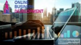Affordable Integrated Business Development