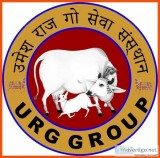 URG _URG Group_Umesh Raj Group of Company_Go seva sansthan