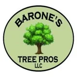 Barone s Tree Pros