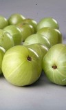 Amla Fruit Extract  Arjunanatural.com