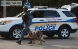 Military Police