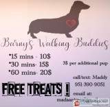 Dog walking service