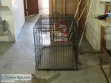 Pet Cage For Sale
