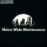 Window and Gutter Cleaning Pros