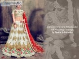 Wedding Lehenga Wholesalers  Bridal Lehenga Wholesalers from Tex
