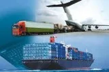 Custom Import Data Access Genuine Stats of Importing Business