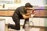 providing best pest control services in Delhi