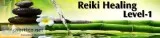 Reiki Level 1 Training in Delhi India