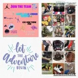Dropshipping opportunity