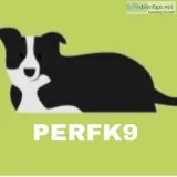 Dog Trainerpet sitterDog Walker