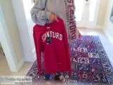2 NEW Stanford sweatshirts grey and red