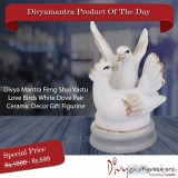Buy Divya Mantra Feng Shui Vastu Love Birds White Dove Pair