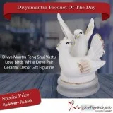 Buy Divya Mantra Feng Shui Vastu Love Birds White Dove Pair