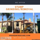 Stump removal Orange County