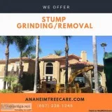 Stump removal Orange County