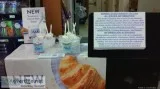 BRAND AMBASSADORPRODUCT DEMONSTRATOR