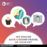 Book International Pet Travel at Reasonable Prices