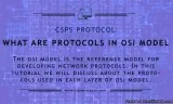 What Are Protocols in OSI Model - CSPS Protocol