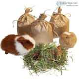 Find the Guinea Pig Toys - Tasty Treat Bag