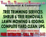 LAS VEGAS TREE TRIMMERS AND YARD CLEAN UPS  CHEAP ESTIMATES