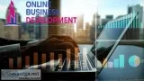 Affordable Internet Marketing and online business development