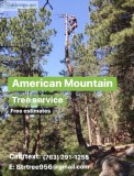 American Mountain Tree Service