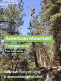 American Mountain Tree Service