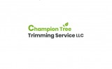 Large Tree Services Montana