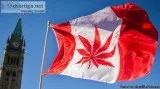 Best consultant for Canada