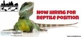 Reptile