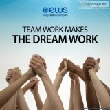 Seeking Distributors for a Business Opportunity