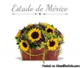 La mejor florer&iacutea en l&iacutenea para enviar flores