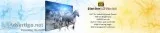 Video Wall Controller UAE